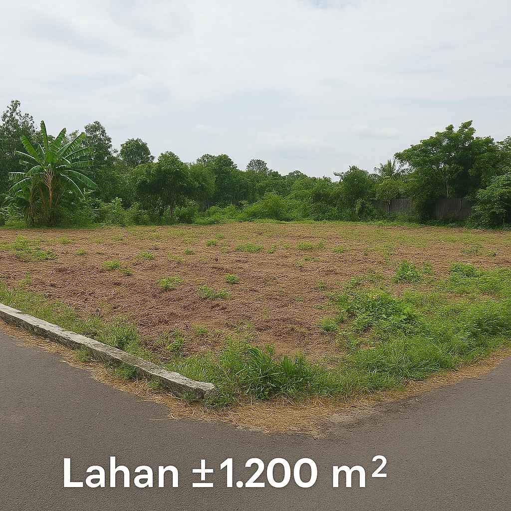 Lahan